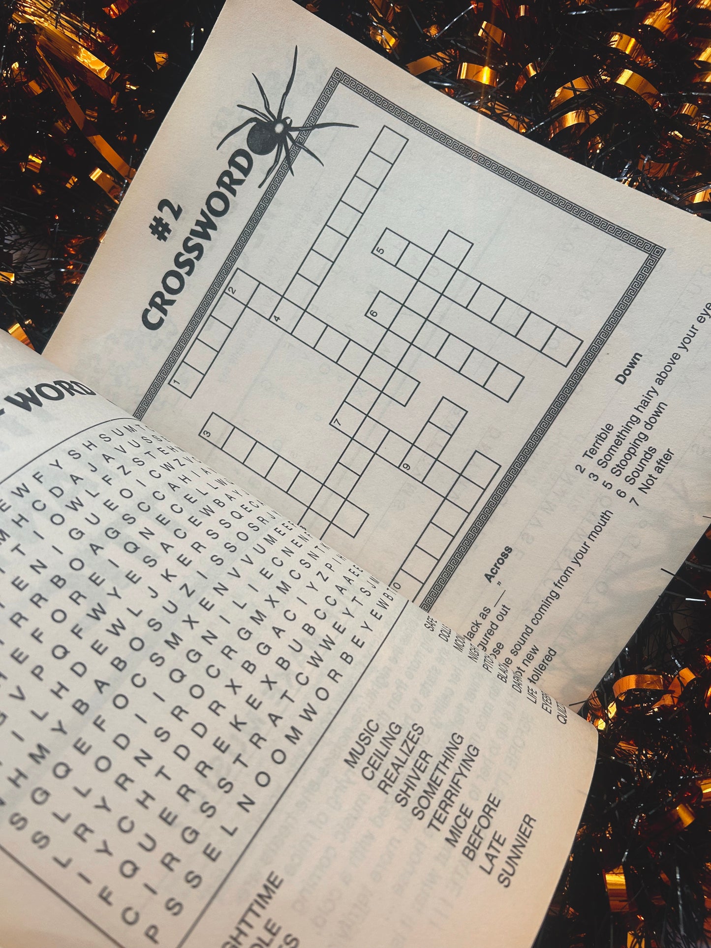 1997 Shivers puzzle and activity book (never used)