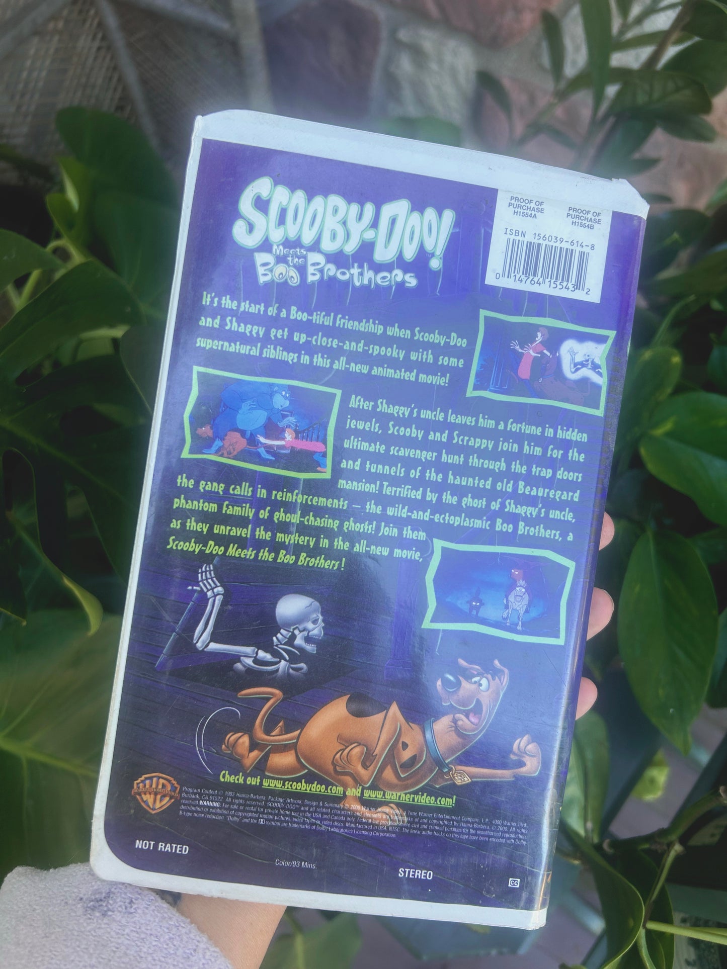 Scooby- Doo meets the BOO Brothers
