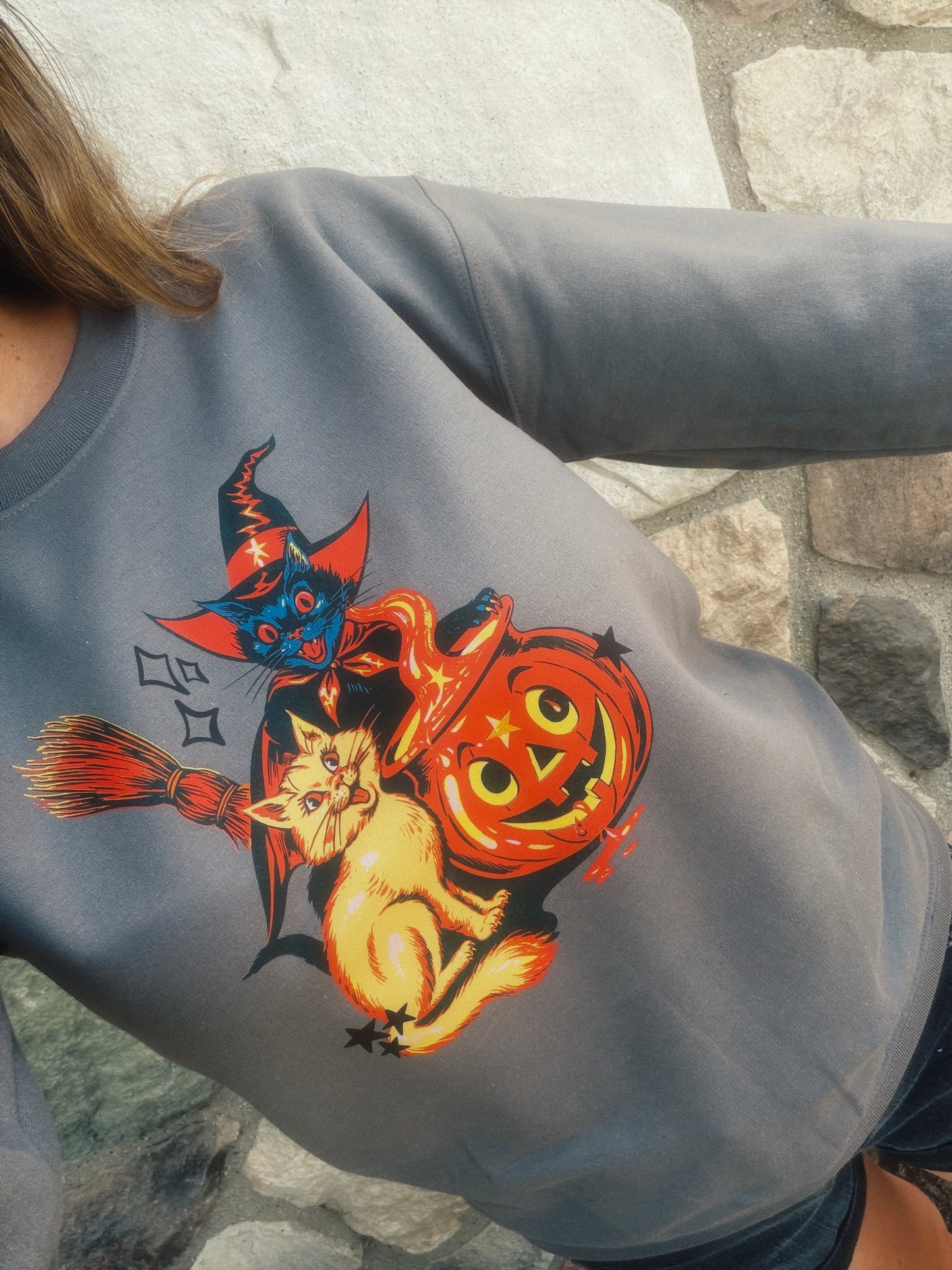 Vintage cats - tee or pullover