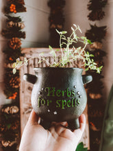 Cauldron Planter