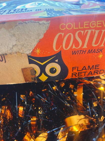 RARE 1970’s Collegeville witch mask
