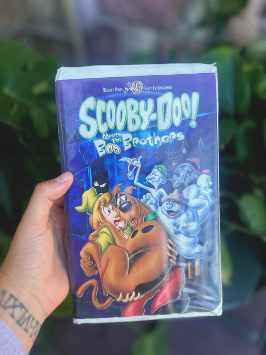 Scooby- Doo meets the BOO Brothers