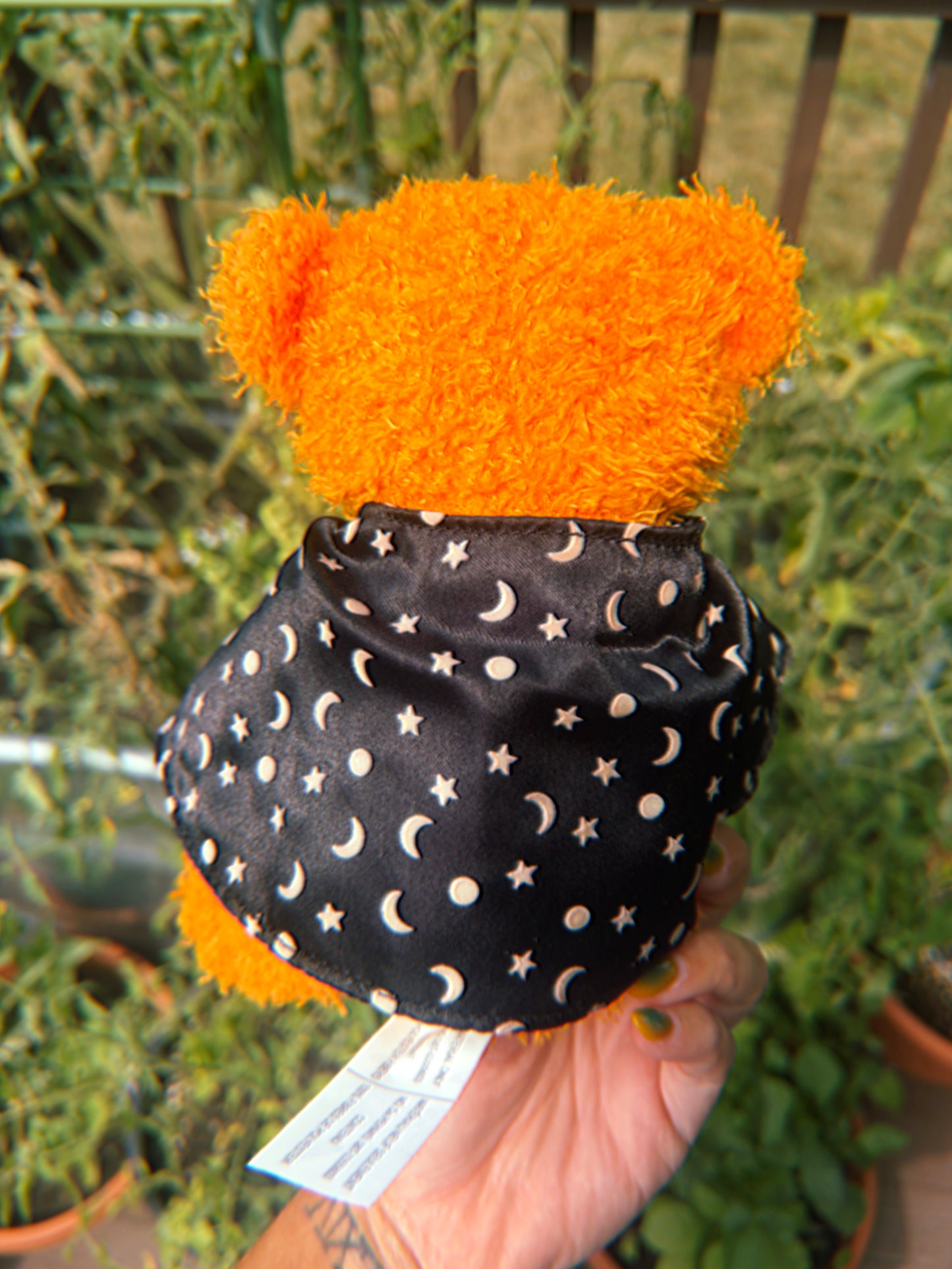American Greeting Celestial Halloween Bear