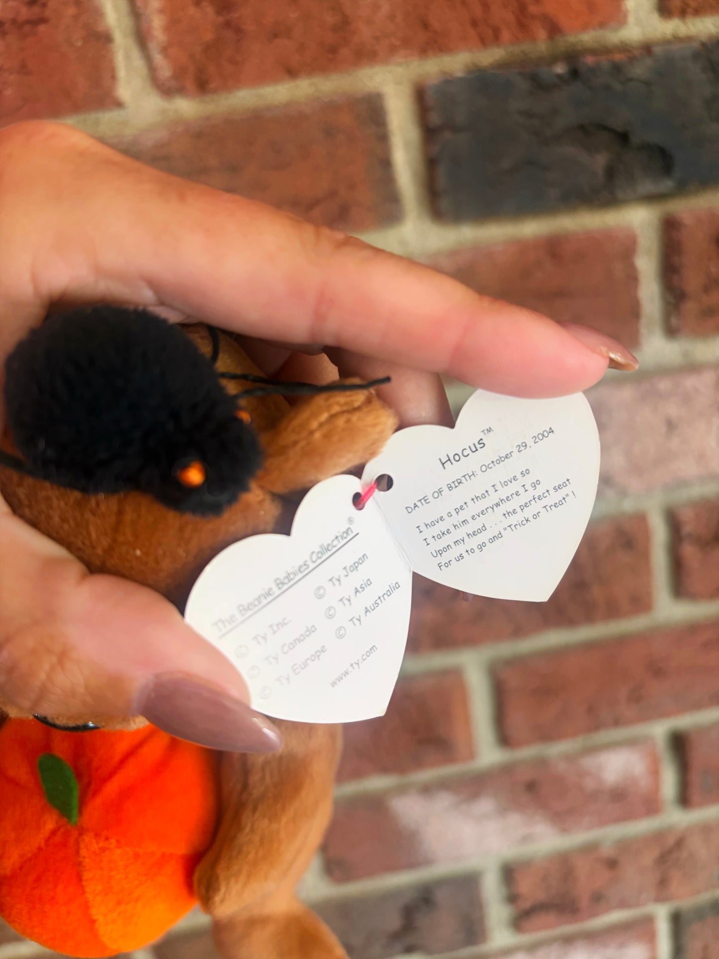2005 Hocus Beanie Baby